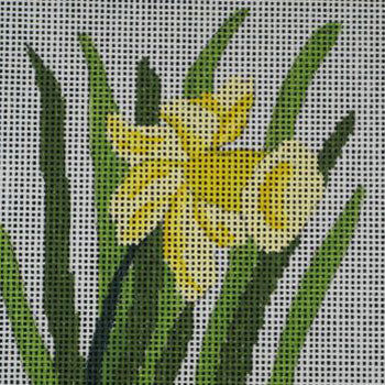 Daffodil CTR106