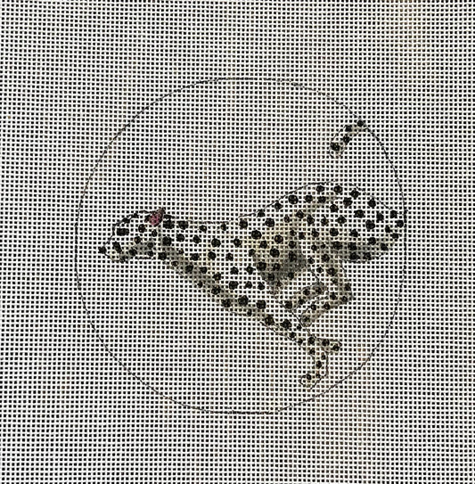 B/W Cheetah  IN532