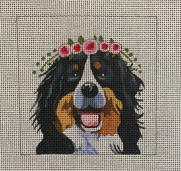 Bernese Mountain Dog with Floral Crowithn  IN071