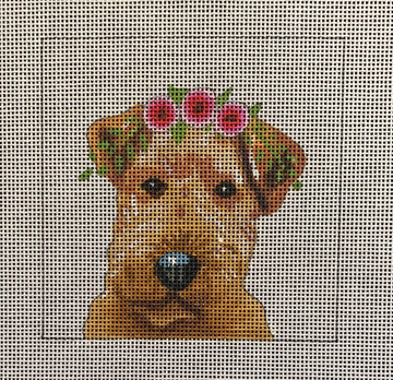 Welsh Terrier with Floral Crown  IN073