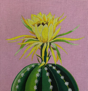 Blooming Cactus On Pink  FF328