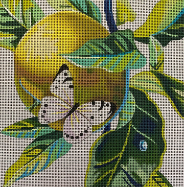 White Butterfly On Apple  FF362