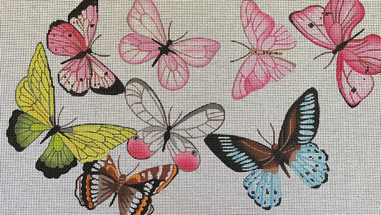 Butterflies  AN359
