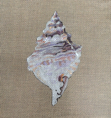 Conch  MM030