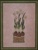 Paper White Bulbs PIL200