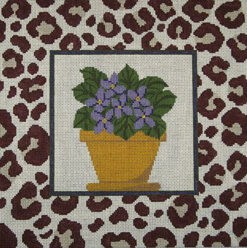 African Violet PIL236