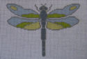 Dragonfly PIL248