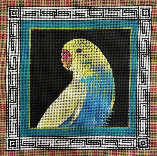 Parakeet-Animals  AN192