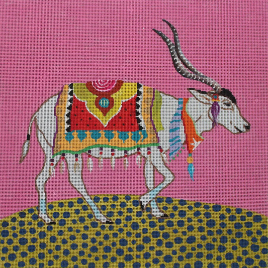 White Kudu Antelope  AN408