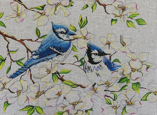 Blue Jays  AN117