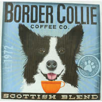 Border Collie Coffee on 13 TC-SF-122-13