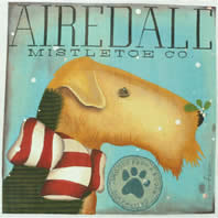 Airedale Mistletoe TC-SF-208-13