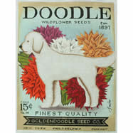 Doodle Seed TC-SF-302-18