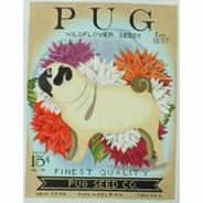 Pug Seed TC-SF-309-18