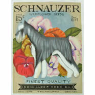 Schnauzer Seed TC-SF-310-18