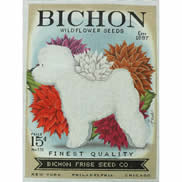 Bichon Frise Seed TC-SF-312-18
