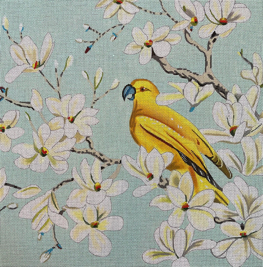 Peace And A Parrot  AN425